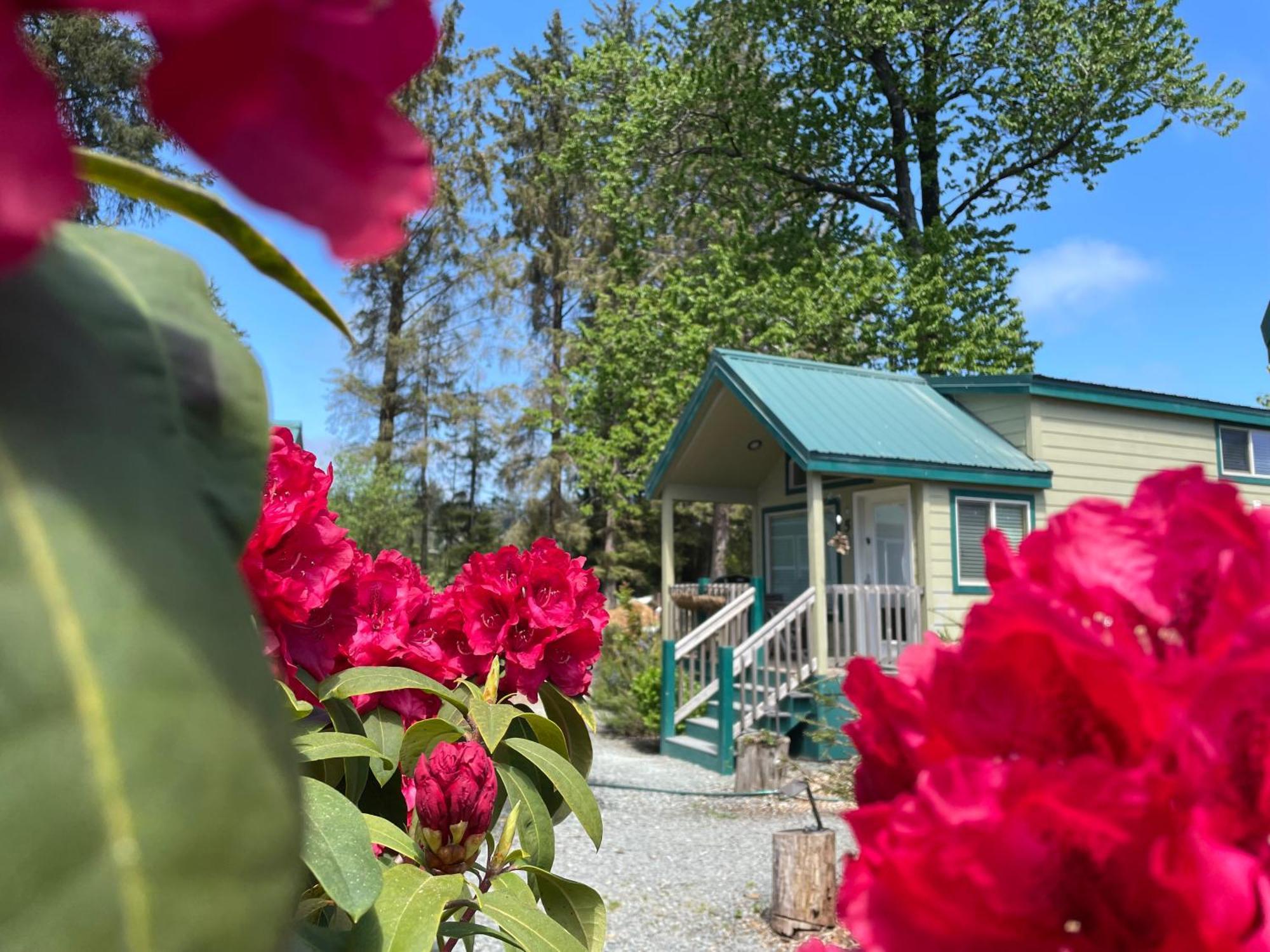 Sheltered Nook On Tillamook Bay Bay City Buitenkant foto