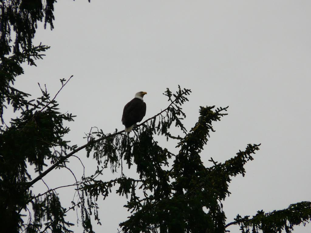 Sheltered Nook On Tillamook Bay Bay City Buitenkant foto