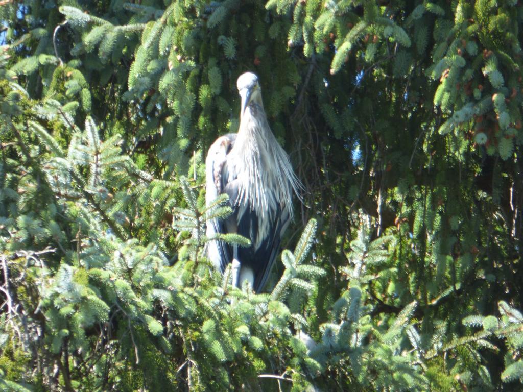 Sheltered Nook On Tillamook Bay Bay City Buitenkant foto