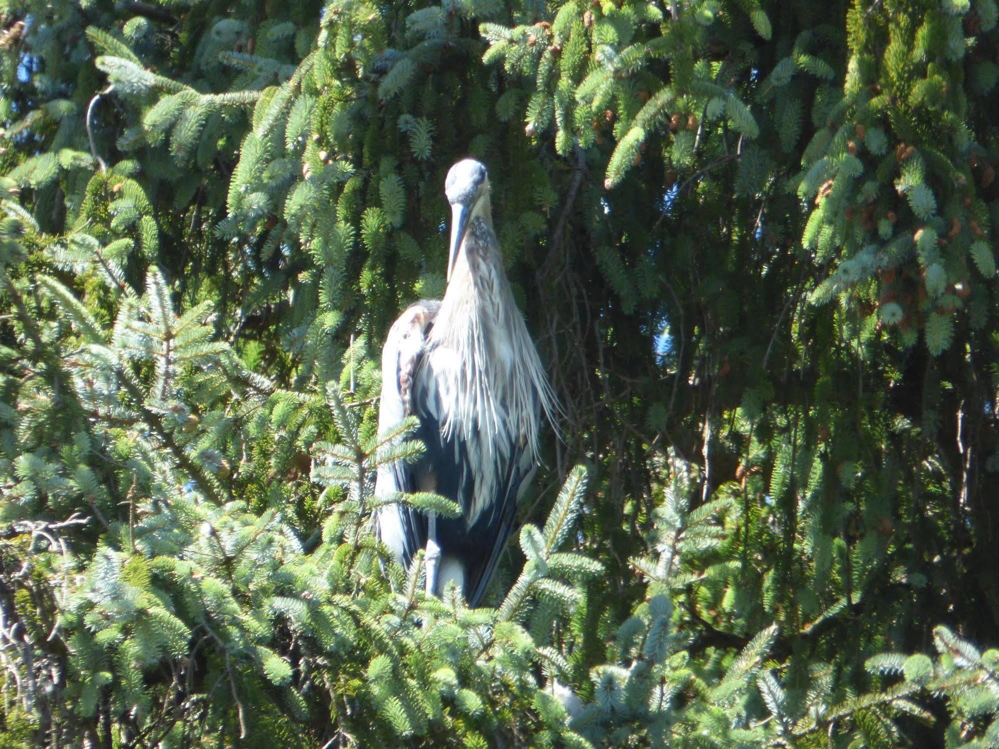 Sheltered Nook On Tillamook Bay Bay City Buitenkant foto